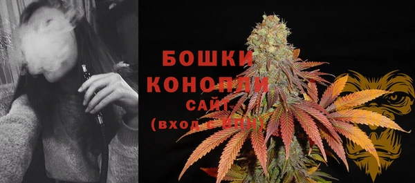 меф Арсеньев